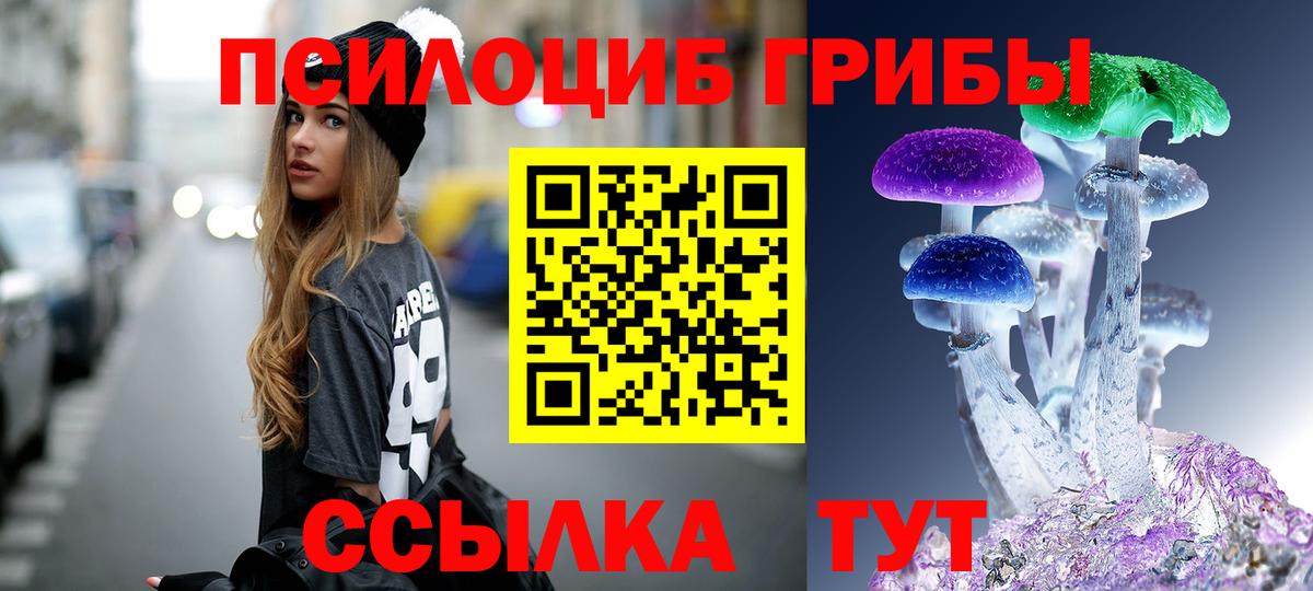 Галлюциногенные грибы мицелий Кулебаки